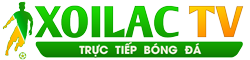 Bệnh Ocd - bố già 2021